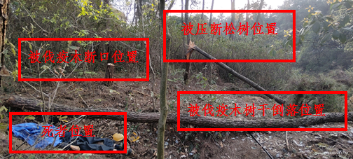 重慶榮昌區(qū)廣順街道逸軒木業(yè)加工廠“3?23”一般物體打擊事故調(diào)查報告