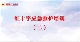 應急救護培訓 第二課 創(chuàng)傷維護