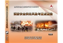 消防安全突出風(fēng)險(xiǎn)與重點(diǎn)整治