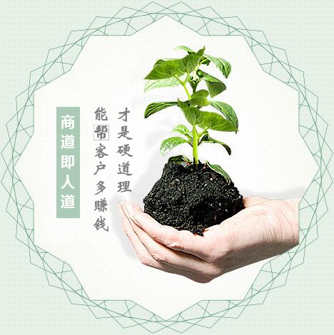 蔬菜種子經(jīng)營，商道即人道
