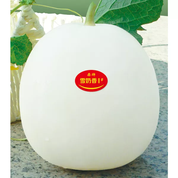 薄皮甜瓜，哪個品種最好呢？畝產(chǎn)高達10萬，附4種市場爆款品種