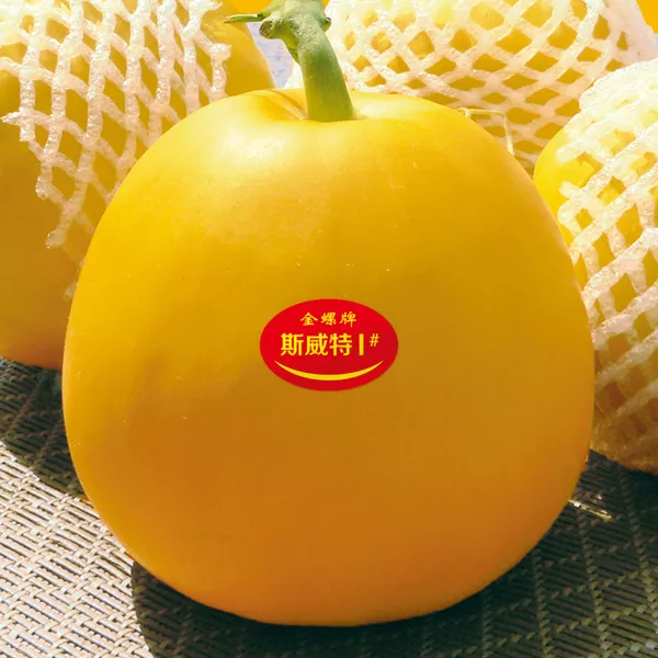 薄皮甜瓜，哪個品種最好呢？畝產(chǎn)高達10萬，附4種市場爆款品種