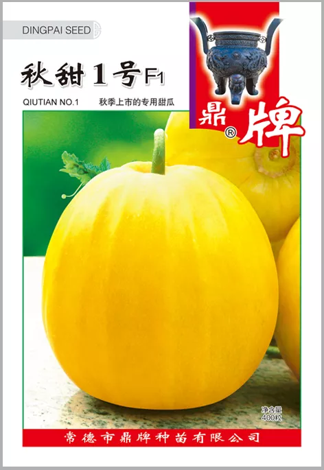 高溫季節(jié)種植甜瓜，什么品種最好？這個(gè)品種是秋季上市的專用品種