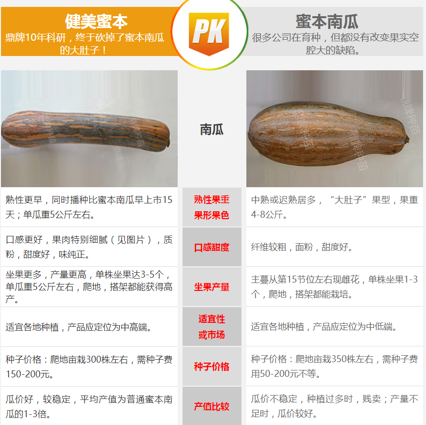 生吃都好吃南瓜新品種，沒有大肚子，肉質(zhì)更密致，農(nóng)戶試種下