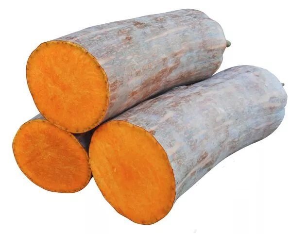 生吃都好吃南瓜新品種，沒有大肚子，肉質(zhì)更密致，農(nóng)戶試種下