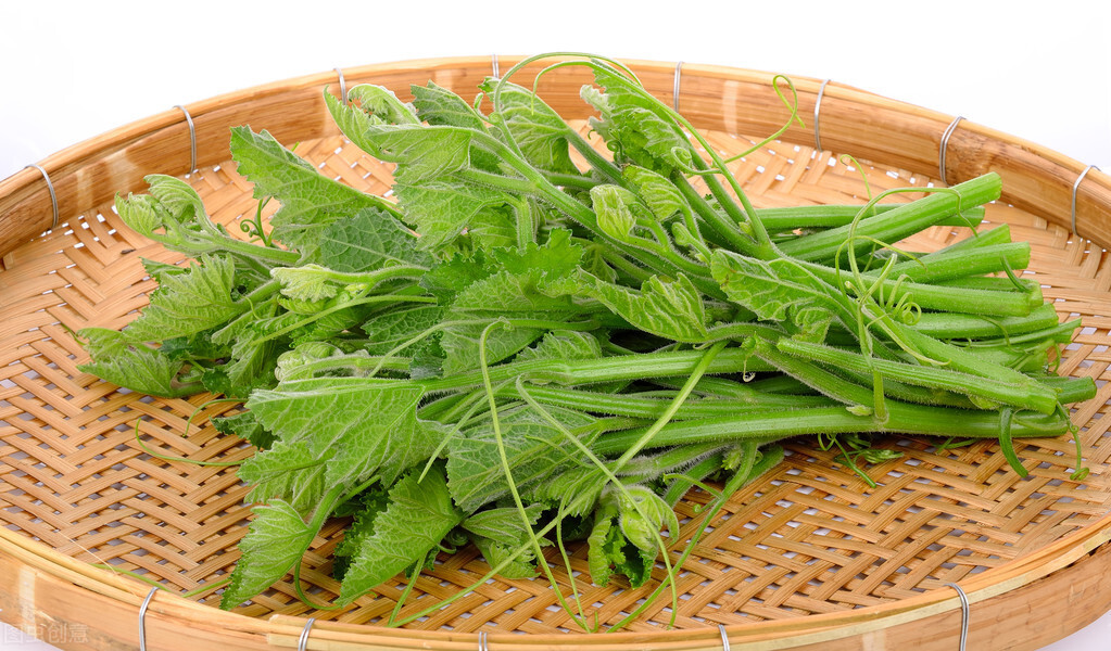 種這種綠葉菜，栽培輕松，畝產(chǎn)值過(guò)萬(wàn)元，菜農(nóng)表示很劃算