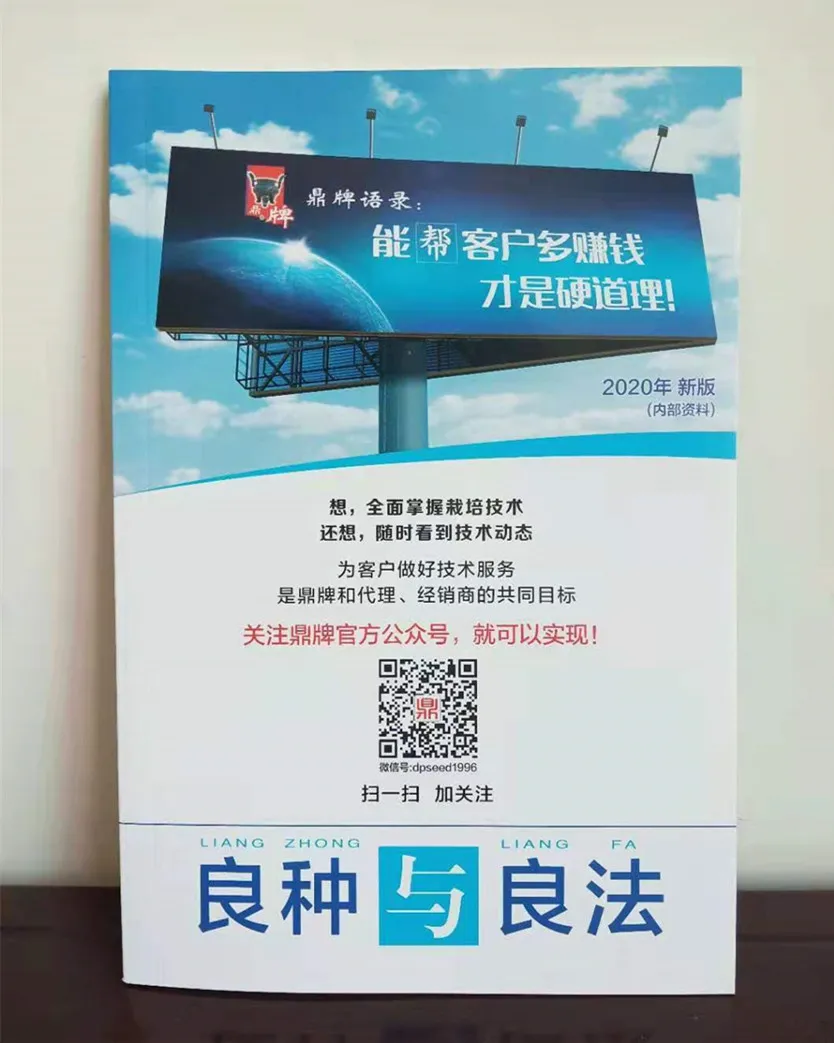 河南焦作的李向林今年種植甜瓜新品種，客戶直接拉貨走人