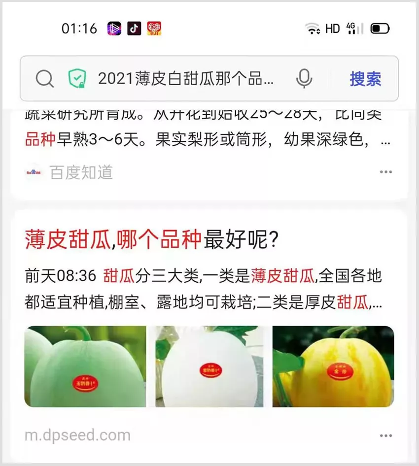 河南焦作的李向林今年種植甜瓜新品種，客戶直接拉貨走人