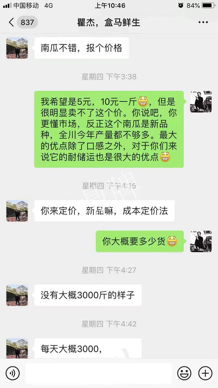 四川農(nóng)戶今年種“健美蜜本”南瓜產(chǎn)量高，品質(zhì)好，感覺巴適得很