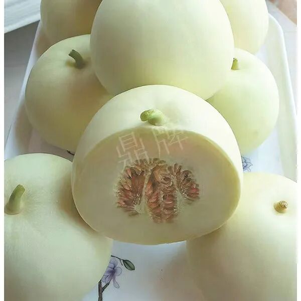 蔬菜種子種植戶種植心得-這個(gè)品種幫我留一些，4月份我們當(dāng)?shù)剡€要種一批
