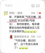 蔬菜種子種植戶客戶點評-“氣死白糖，甜過初戀”，您知道或體驗過這句話嗎